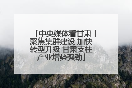 中央媒体看甘肃丨聚焦集群建设 加快转型升级 甘肃支柱产业增势强劲