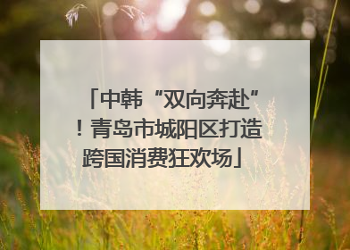 中韩“双向奔赴”！青岛市城阳区打造跨国消费狂欢场