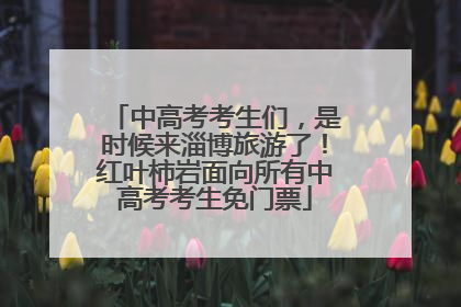 中高考考生们，是时候来淄博旅游了！红叶柿岩面向所有中高考考生免门票