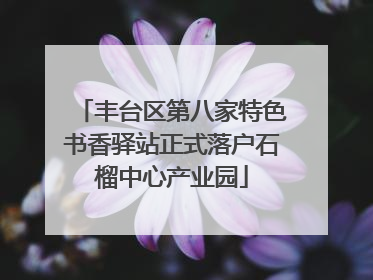 丰台区第八家特色书香驿站正式落户石榴中心产业园