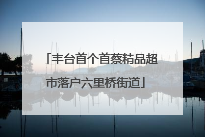 丰台首个首蔡精品超市落户六里桥街道