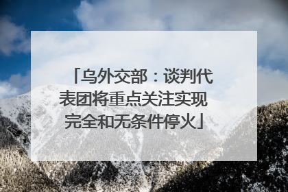乌外交部：谈判代表团将重点关注实现完全和无条件停火