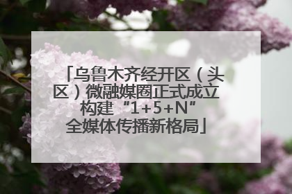 乌鲁木齐经开区（头区）微融媒圈正式成立 构建“1+5+N”全媒体传播新格局