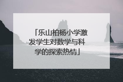 乐山柏杨小学激发学生对数学与科学的探索热情