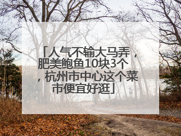人气不输大马弄，肥美鲍鱼10块3个，杭州市中心这个菜市便宜好逛