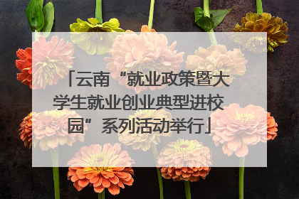 云南“就业政策暨大学生就业创业典型进校园”系列活动举行