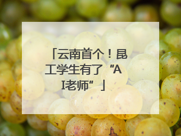 云南首个！昆工学生有了“AI老师”