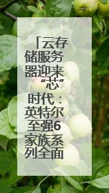 云存储服务器迎来“芯”时代：英特尔至强6家族系列全面解析