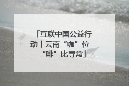 互联中国公益行动丨云南“咖”位“啡”比寻常