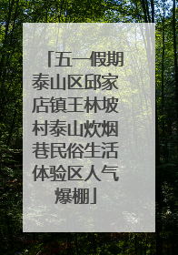 五一假期泰山区邱家店镇王林坡村泰山炊烟巷民俗生活体验区人气爆棚
