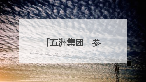 五洲集团一参建项目获奖