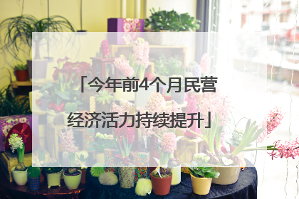 今年前4个月民营经济活力持续提升