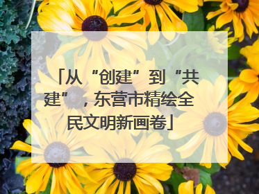 从“创建”到“共建”，东营市精绘全民文明新画卷