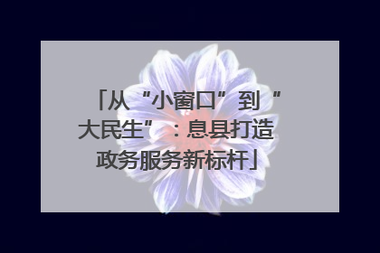 从“小窗口”到“大民生”：息县打造政务服务新标杆