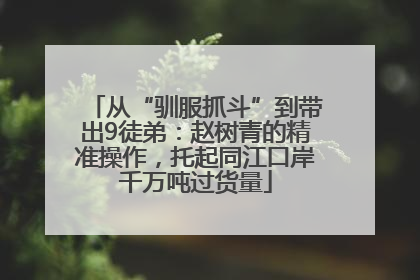 从“驯服抓斗”到带出9徒弟：赵树青的精准操作，托起同江口岸千万吨过货量