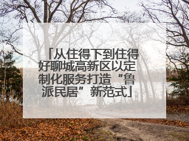 从住得下到住得好聊城高新区以定制化服务打造“鲁派民居”新范式