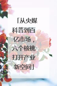 从央媒科普到百亿市场，六个核桃打开产业新空间