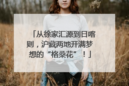 从徐家汇源到日喀则，沪藏两地开满梦想的“格桑花”！