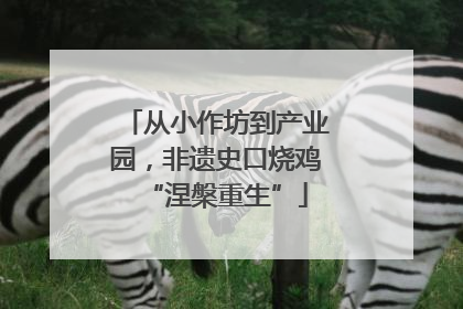 从小作坊到产业园，非遗史口烧鸡“涅槃重生”