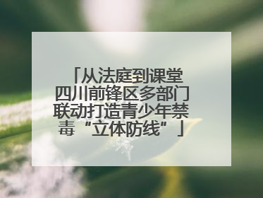 从法庭到课堂 四川前锋区多部门联动打造青少年禁毒“立体防线”