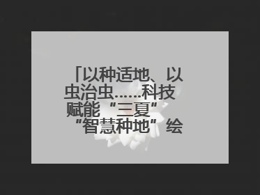 以种适地、以虫治虫……科技赋能“三夏” “智慧种地”绘就好“丰”景