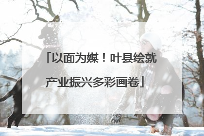 以面为媒！叶县绘就产业振兴多彩画卷