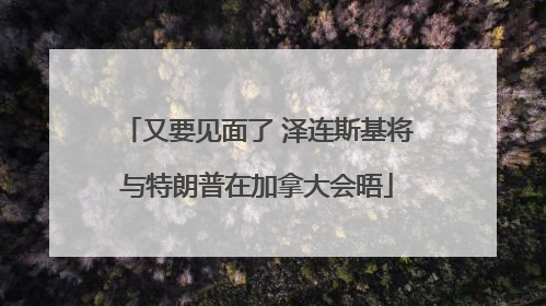 又要见面了 泽连斯基将与特朗普在加拿大会晤
