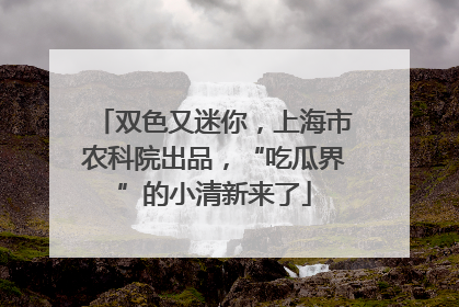 双色又迷你，上海市农科院出品，“吃瓜界”的小清新来了