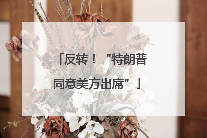反转！“特朗普同意美方出席”