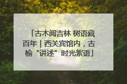 古木阅吉林 树语藏百年｜西关宾馆内，古榆“讲述”时光絮语