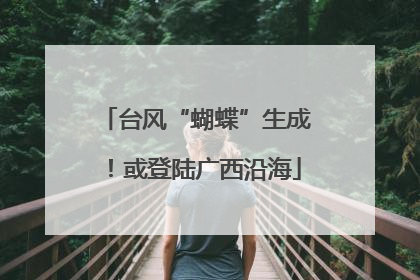 台风“蝴蝶”生成！或登陆广西沿海