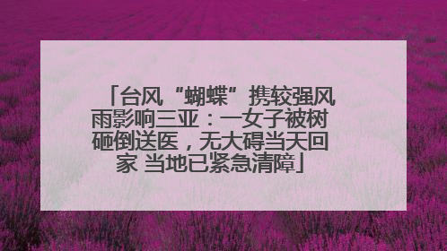 台风“蝴蝶”携较强风雨影响三亚：一女子被树砸倒送医，无大碍当天回家 当地已紧急清障