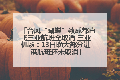 台风“蝴蝶”致成都直飞三亚航班全取消 三亚机场：13日晚大部分进港航班还未取消