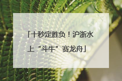 十秒定胜负！沪浙水上“斗牛”赛龙舟