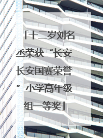 十二岁刘名丞荣获“长安长安国赛荣誉”小学高年级组一等奖