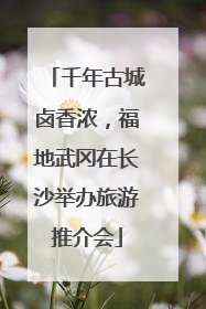 千年古城卤香浓，福地武冈在长沙举办旅游推介会