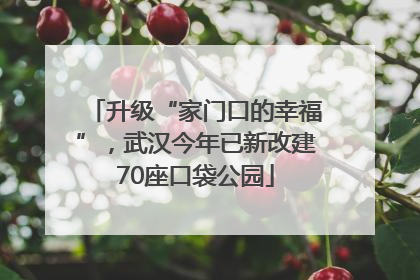 升级“家门口的幸福”，武汉今年已新改建70座口袋公园