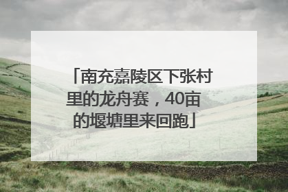 南充嘉陵区下张村里的龙舟赛，40亩的堰塘里来回跑