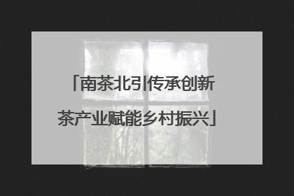 南茶北引传承创新 茶产业赋能乡村振兴