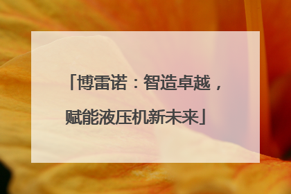 博雷诺：智造卓越，赋能液压机新未来