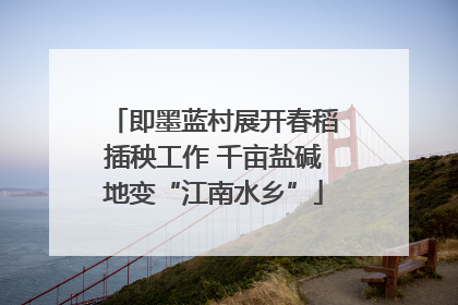 即墨蓝村展开春稻插秧工作 千亩盐碱地变“江南水乡”