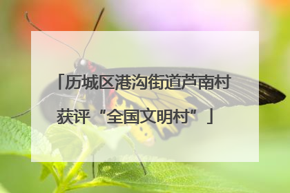 历城区港沟街道芦南村获评“全国文明村”
