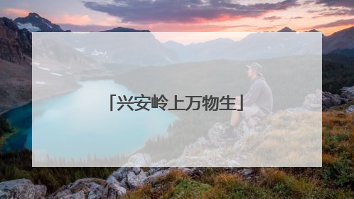 兴安岭上万物生