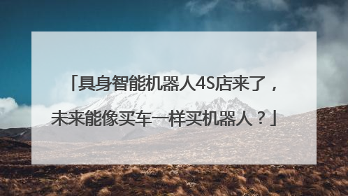 具身智能机器人4S店来了，未来能像买车一样买机器人？