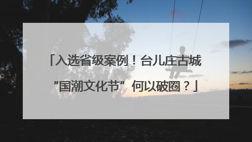入选省级案例！台儿庄古城“国潮文化节”何以破圈？