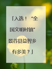 入选！“全国文明村镇”景谷县益智乡有多美？