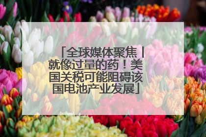 全球媒体聚焦丨就像过量的药！美国关税可能阻碍该国电池产业发展