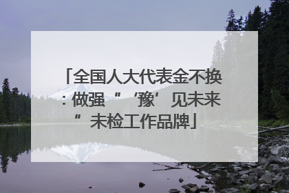 全国人大代表金不换：做强“‘豫’见未来”未检工作品牌