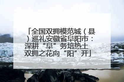 全国双拥模范城（县）巡礼安徽省阜阳市：深耕“阜”务培热土 双拥之花向“阳”开