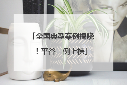 全国典型案例揭晓！平谷一例上榜